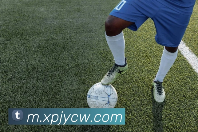 新葡京娱乐城品牌故事