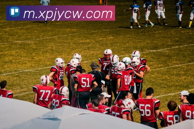 新葡京娱乐城服务体系